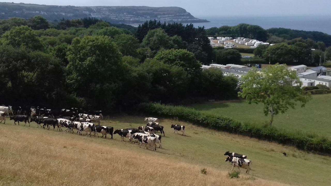 Llanarth Maes Y Mor公寓 外观 照片