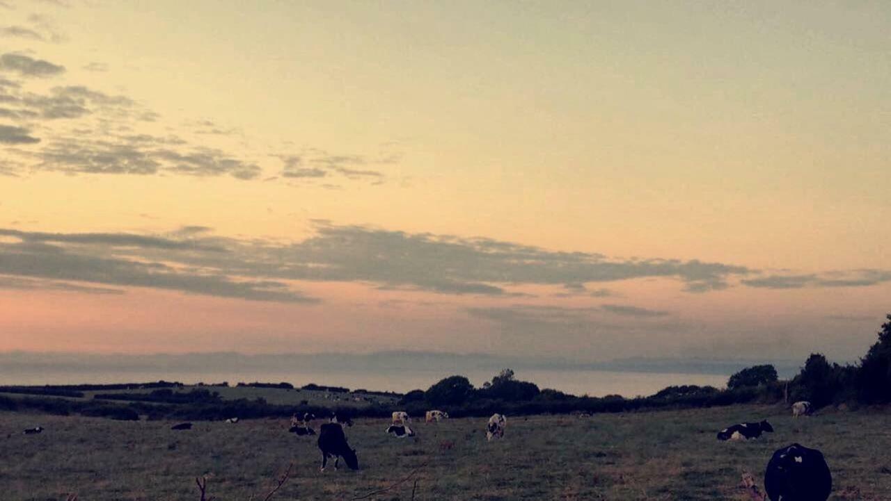 Llanarth Maes Y Mor公寓 外观 照片